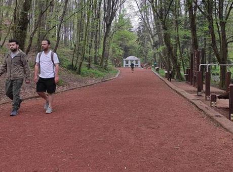 Tarım ve Orman Bakanlığı’ndan Belgrad Ormanı’na ilişkin açıklama