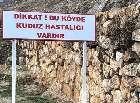 Bir köyde kuduz alarmı! Karantinaya alındı, 7 yaşındaki çocuk tedavi altında