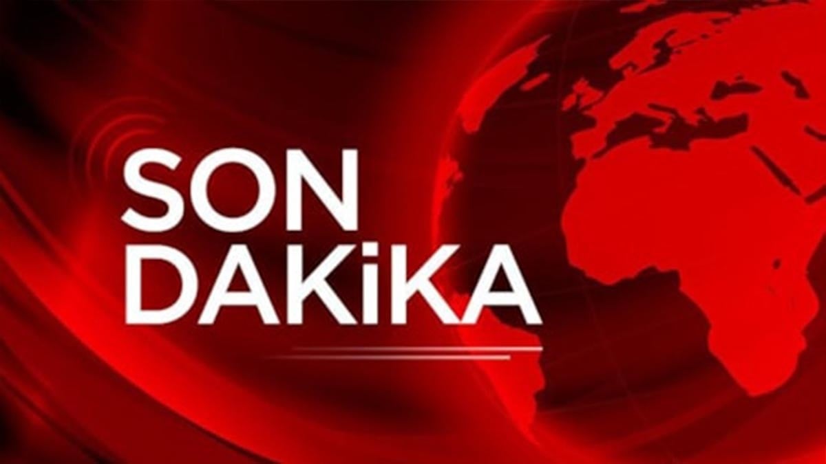 Güney Kore’de yolcu uçağı düştü: Çok sayıda ölü var