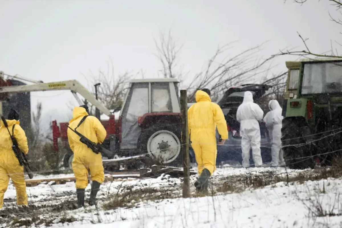 Almanya’da 35 yıl sonra şap vakası görüldü