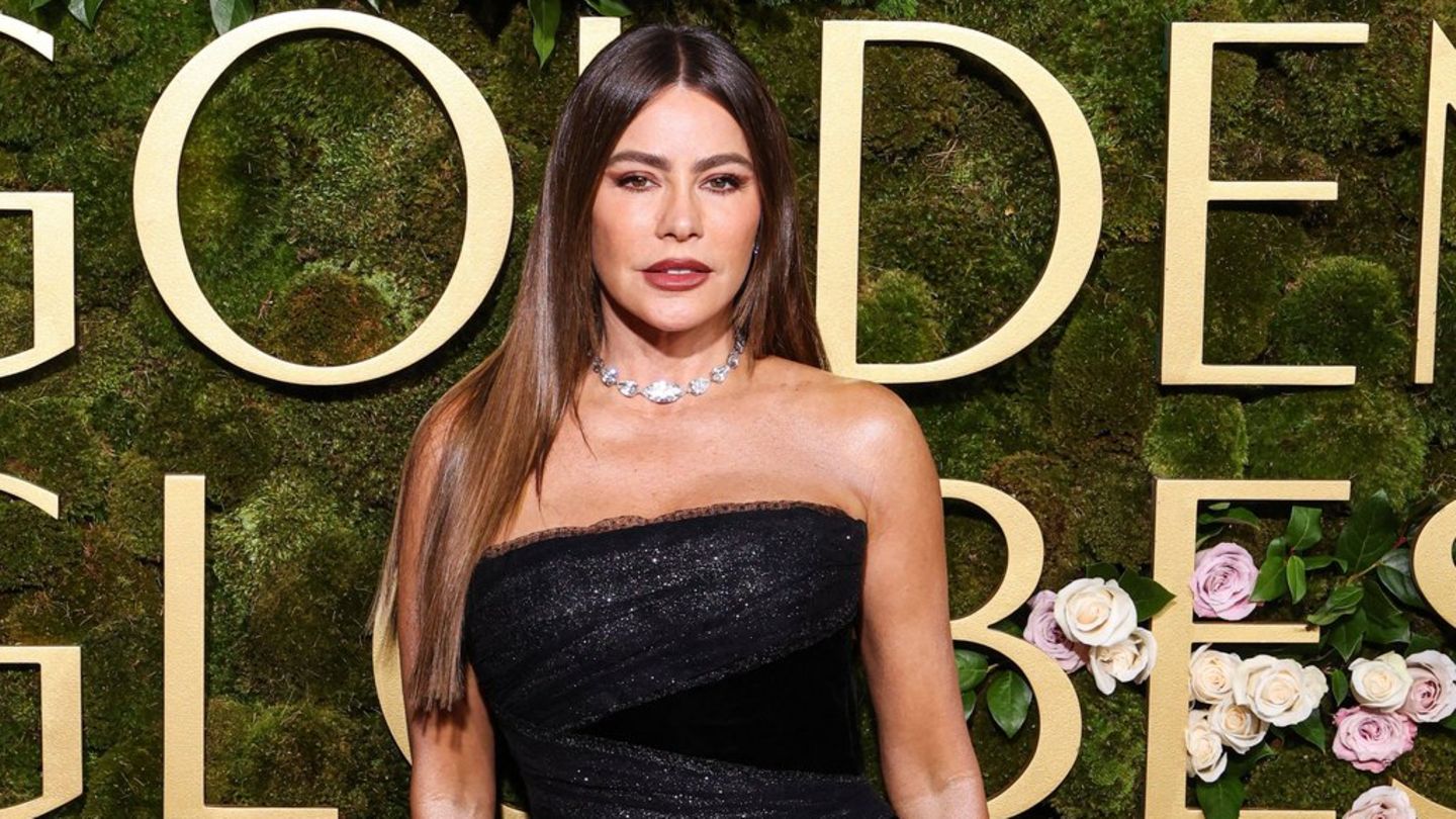 Sofia Vergara: Tekrar bir ortak arıyorum