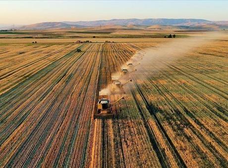 TARSİM çiftçilere 22,5 milyar lira prim desteği ve hasar tazminatı ödedi