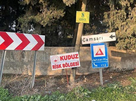 Bir kentte kuduz alarmı! 2 kişiyi ısırdı, mahalle ‘riskli alan’ ilan edildi